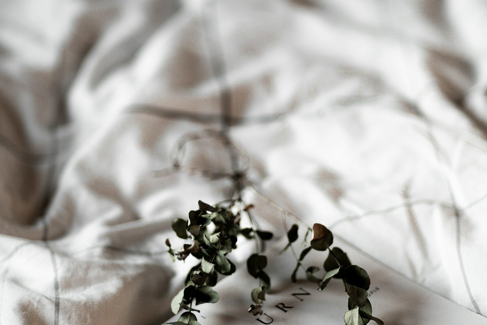 Zacht beddengoed met eucalyptus
