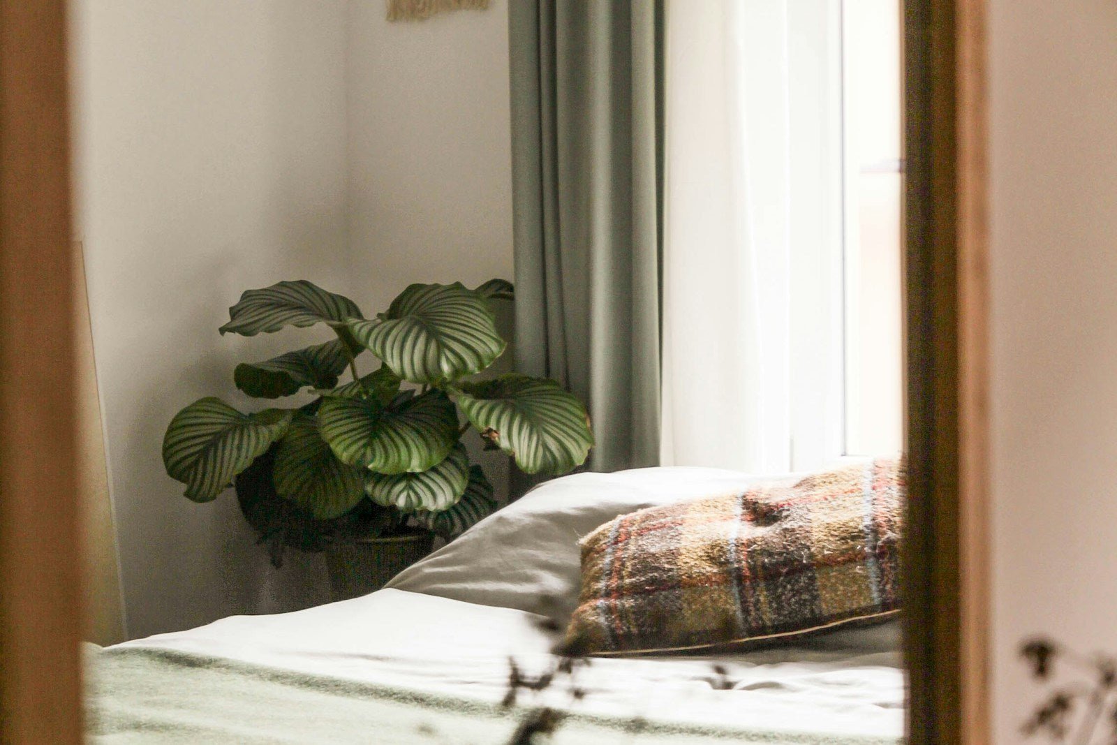 Lichte zomerse slaapkamer met plant